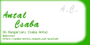 antal csaba business card